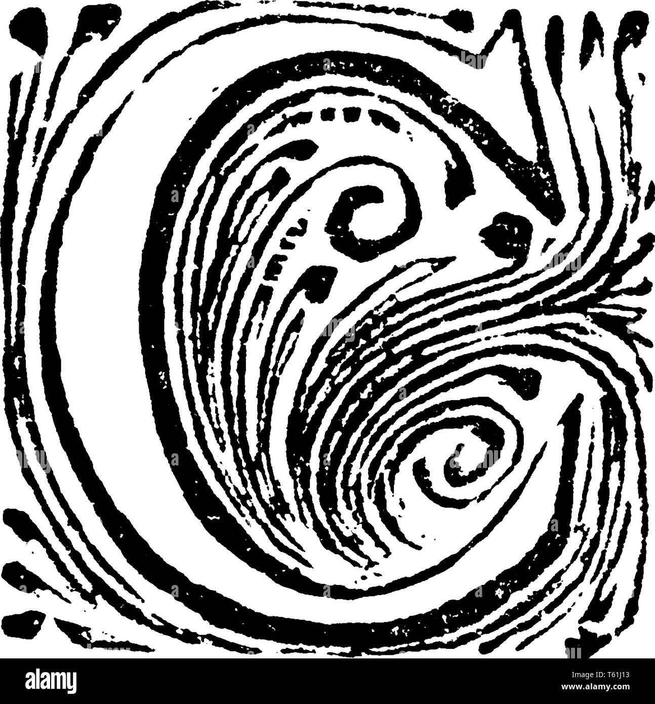 Une lettre capitale floral C, vintage dessin ou gravure illustration Illustration de Vecteur