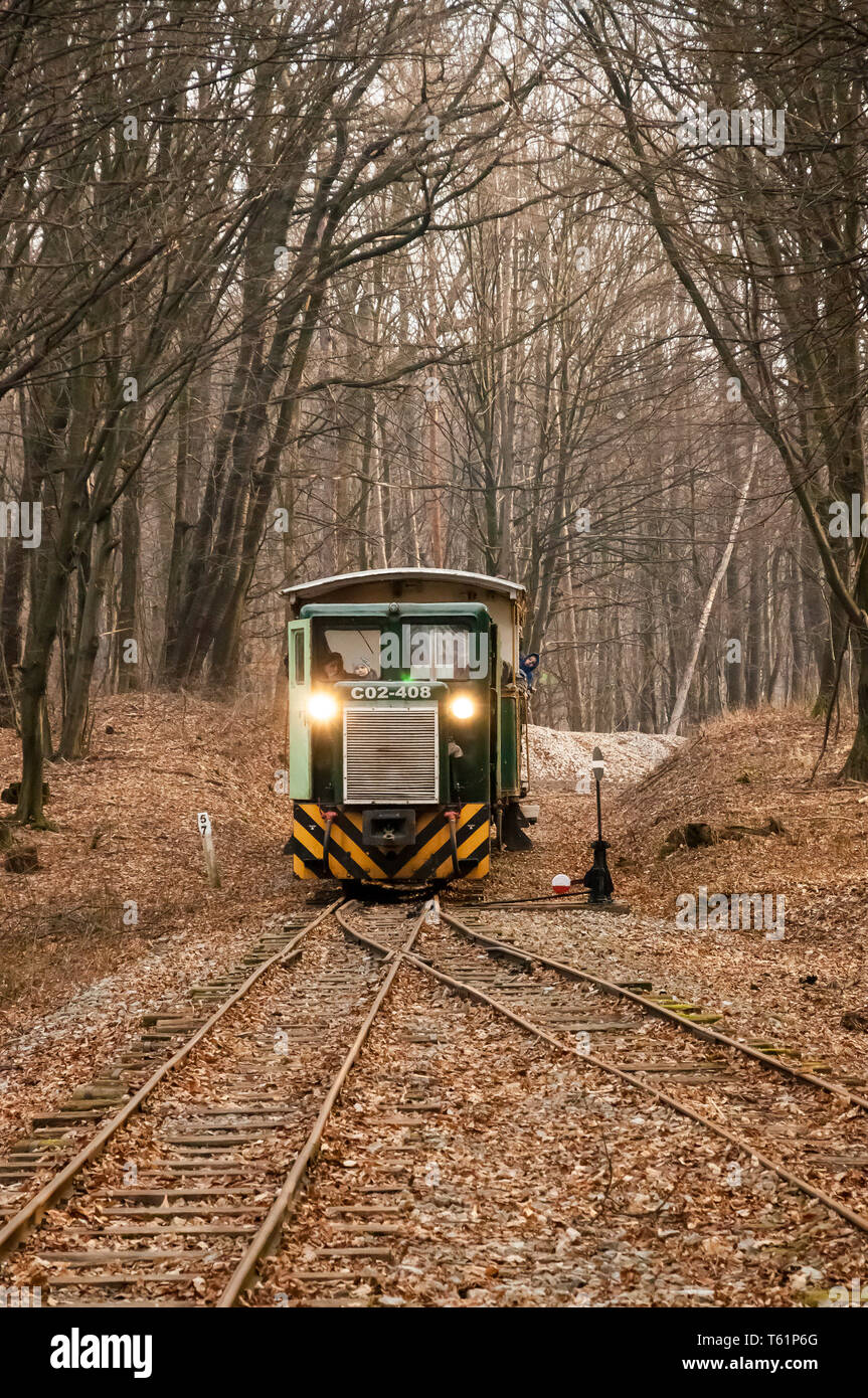 Le train à voie étroite à Mahóca dans le Parc National de Bükk, Hongrie Banque D'Images