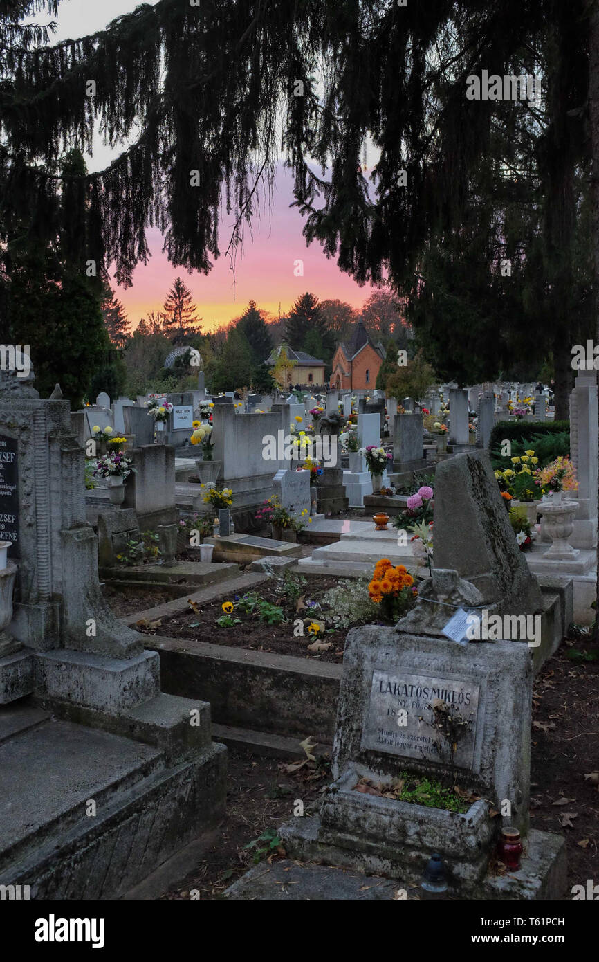 Cimetiere De Budapest Hongrie A L Halloween Photo Stock Alamy