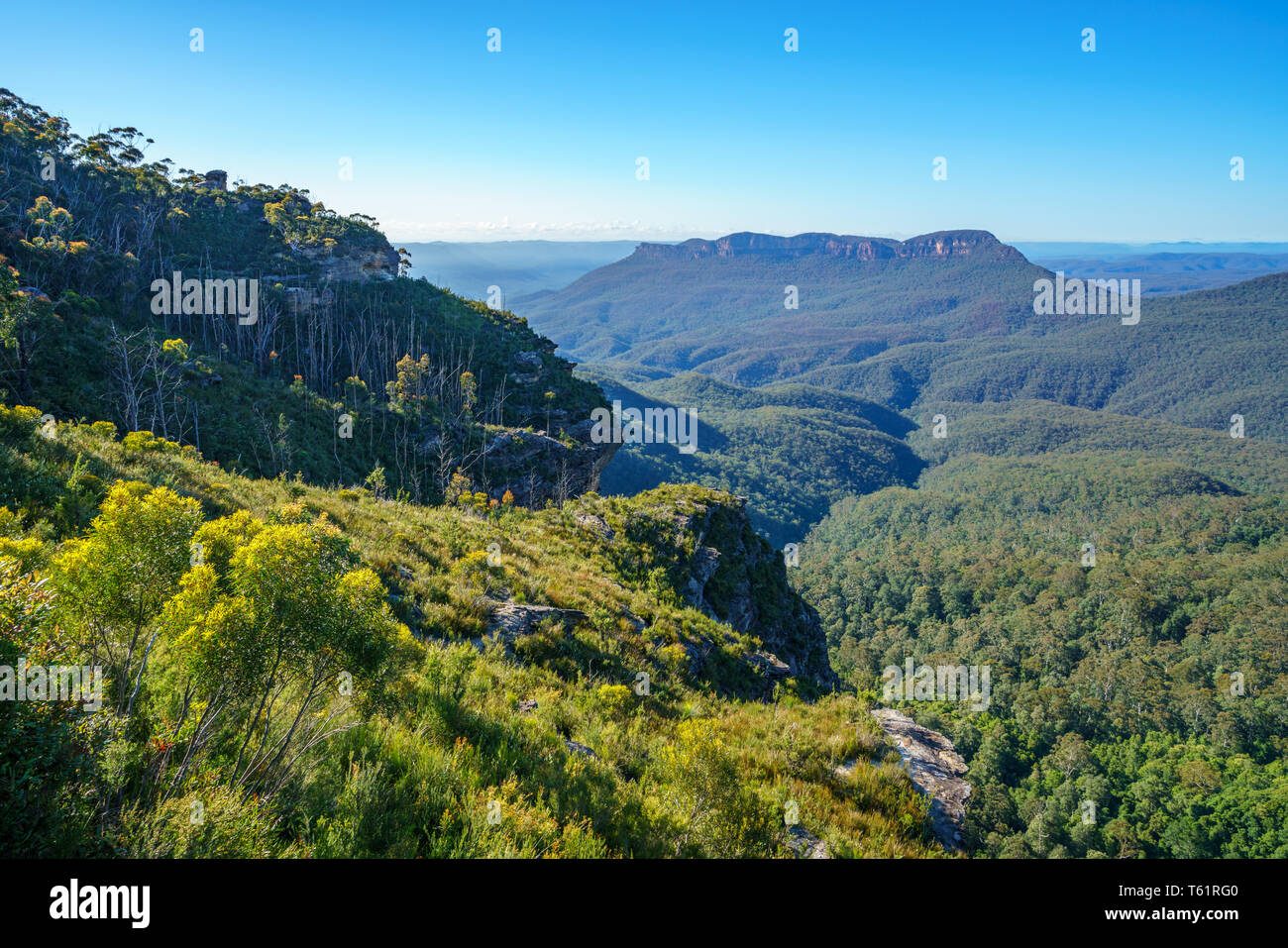 Cliff view, parc national de Blue Mountains, Katoomba, New South Wales, Australie Banque D'Images