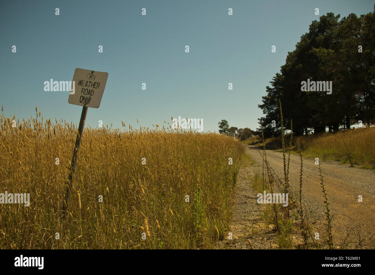 Panneau de route pour temps sec dans une grande herbe sèche sur le côté d'une route de terre de campagne Banque D'Images