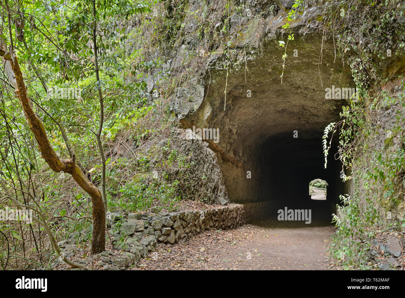 L'un des nombreux tunnels à travers la roche sur le sentier à travers la forêt tropicale canyon de Los Tilos en La Palma, Espagne. Banque D'Images
