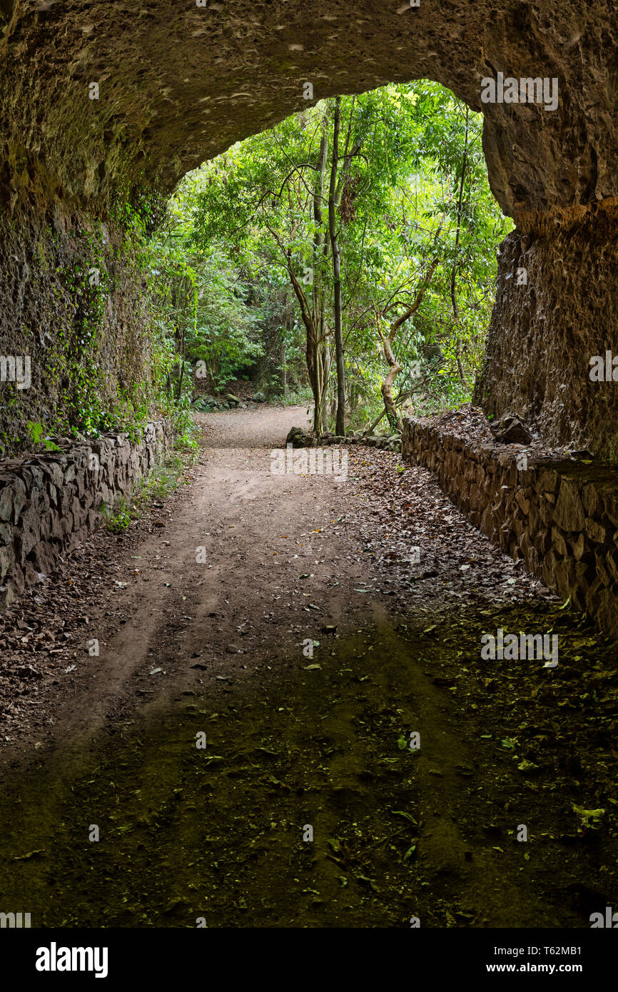 Vue depuis l'intérieur d'un tunnel à travers la roche sur le sentier à travers la forêt tropicale canyon de Los Tilos en La Palma, Espagne. Banque D'Images