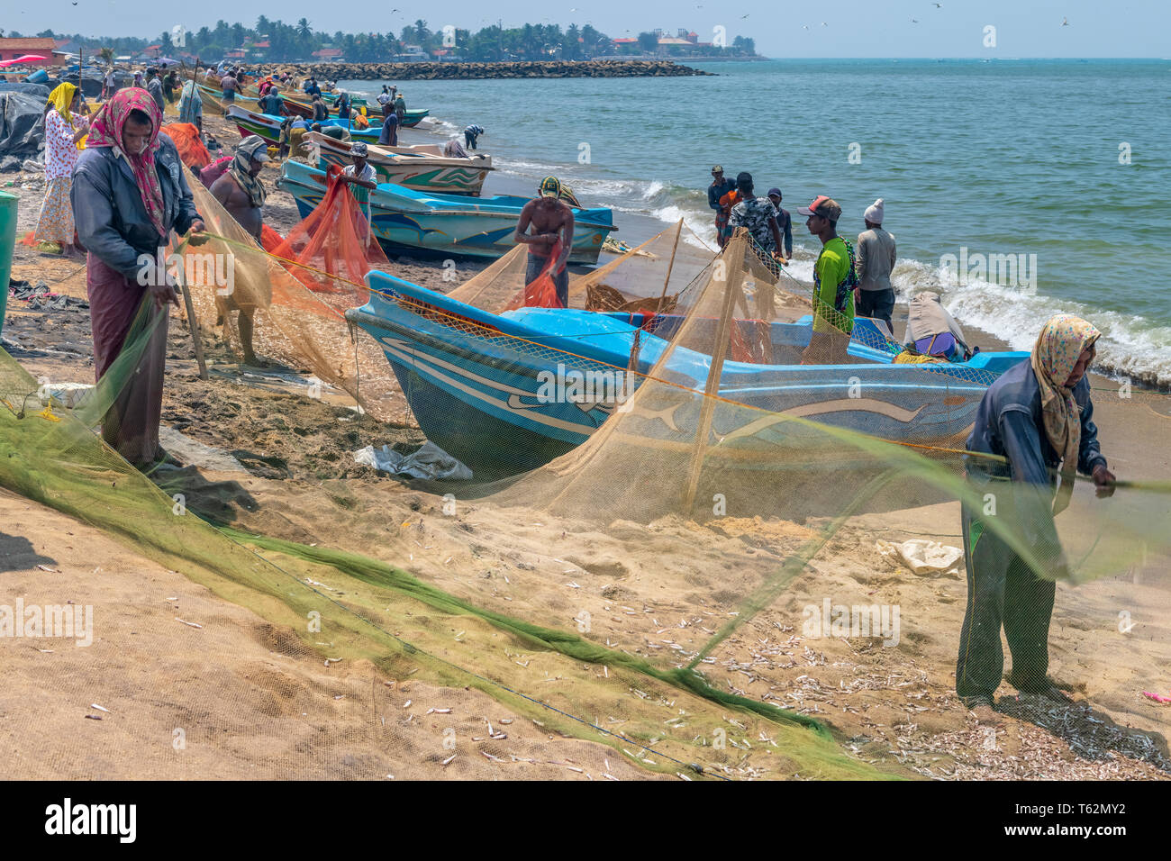 Les pêcheurs de Negombo retirer le petit poisson argenté en agitant leurs filets tandis que les corneilles frais généraux cercle attendent que l'occasion de voler n'importe quelle proie facile. Banque D'Images