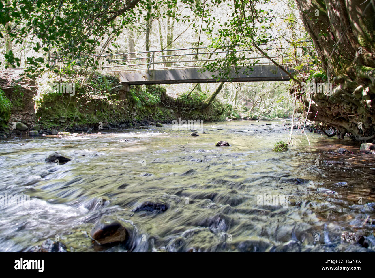 River Promenades Citron Banque D'Images