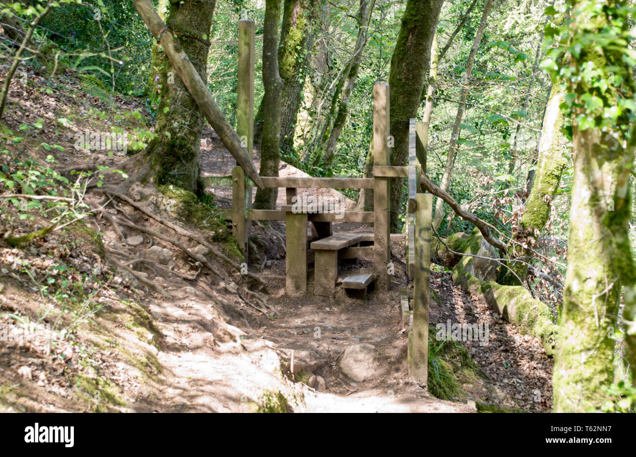 River Promenades Citron Banque D'Images