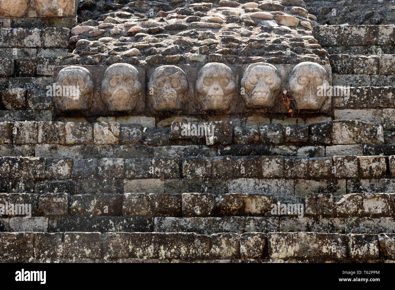 Copan Honduras culture maya - maya sculpture sur pierre à Copan, UNESCO World Heritage site, Honduras, Amérique Centrale Banque D'Images