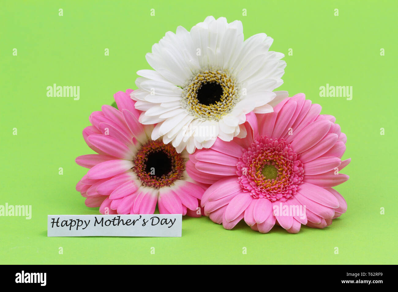 Happy Mothers Day card avec marguerites colorées sur fond vert Banque D'Images