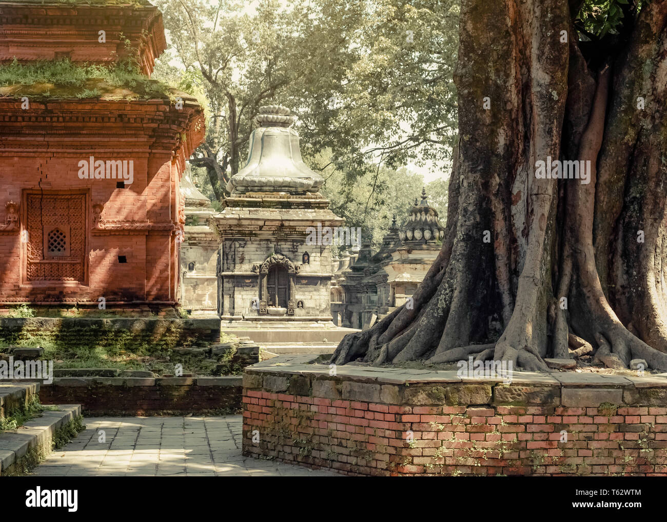 Temple de Pashupatinath temple hindou. Place pour la crémation cérémonie sur la rivière Bagmati. Le Népal, grande architecture religieuse de Katmandou. Monde étonnant et h Banque D'Images