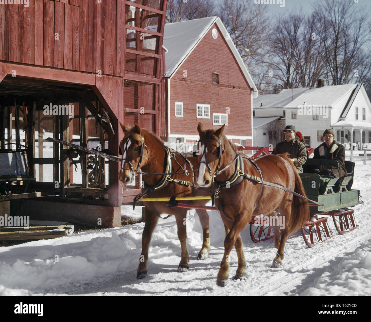 1960 HOMME FEMME COUPLE & DRIVER équitation de cheval Cheval DEUX FERME OUVERTE EN TRAÎNEAU l'hiver enneigé VILLAGE RURAL VERMONT USA - KW2712 LAW001 COMMUNAUTÉ HARS VERMONT VIEUX COULEUR VILLE TEMPS NOSTALGIE ANCIENNE MODE 1 chevaux d'ÉQUIPE LOCATIONS DE JOIE DE VIE LES FEMMES RURALES MARIÉS MARI CONJOINT GROWNUP UNITED STATES COPIE ESPACE PLEINE LONGUEUR D'AMITIÉ CHERS PERSONNES SCENIC GROWN-UP UNITED STATES OF AMERICA TRANSPORT DE NEIGE TRAÎNEAU MÂLES AGRICULTURE AMÉRIQUE DU NORD AMÉRIQUE DU NORD L'HIVER SAISON D'HIVER DU TEMPS LIBRE BONHEUR MAMMIFÈRES VOYAGE AVENTURE EXCITATION ESCAPADE LOISIRS LES AGRICULTEURS DANS LE NORD-EST à cheval Banque D'Images