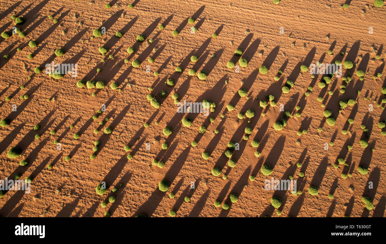 Les terres agricoles au nord-ouest de Victoria, en Australie, au cours de la sécheresse. Banque D'Images
