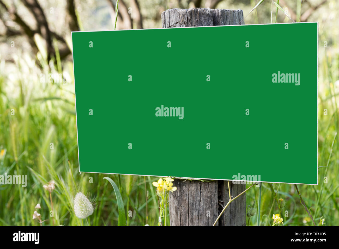 Panneaux en bois vide dans la forêt Banque D'Images