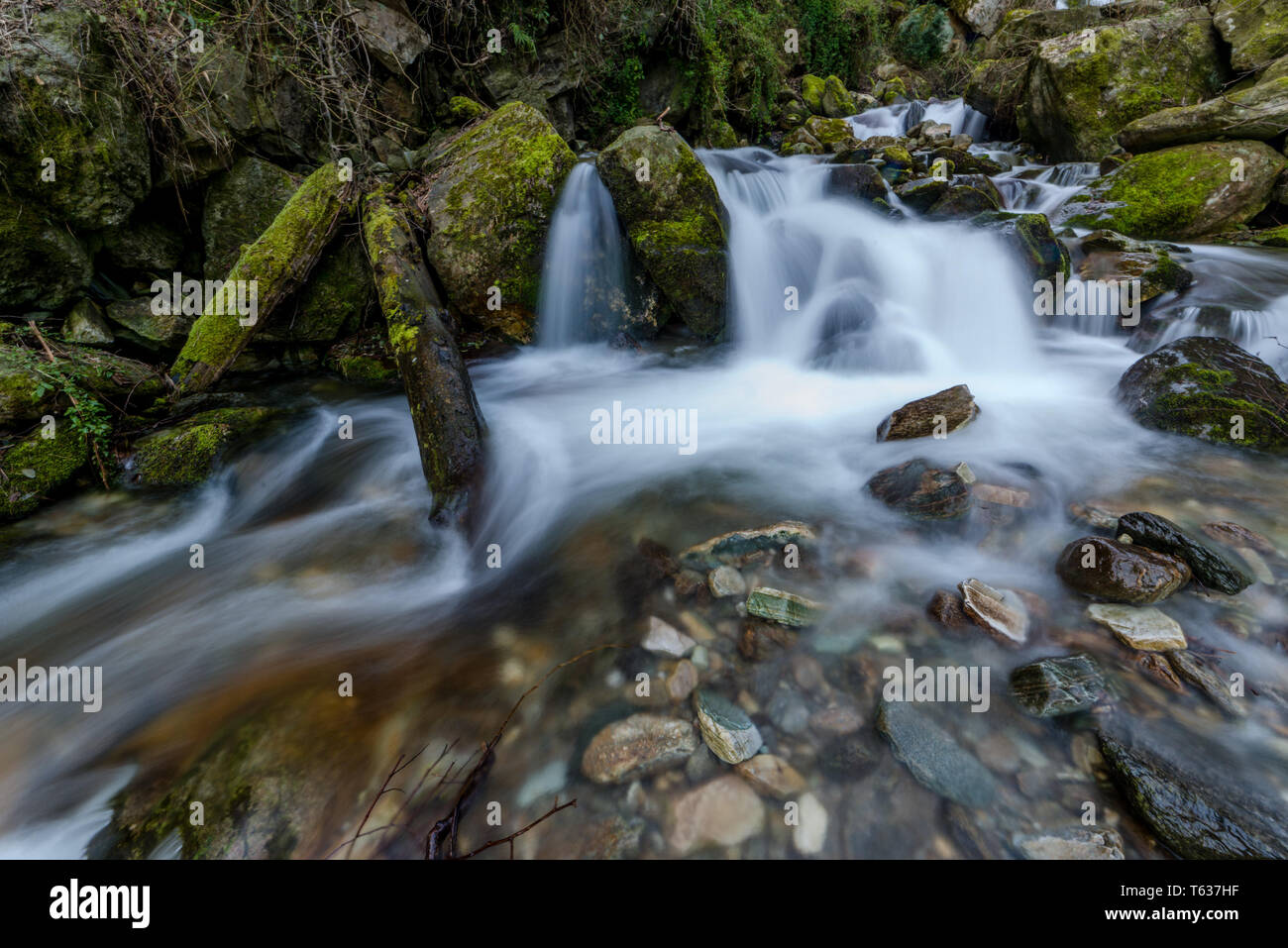 Photo de l'eau laiteuse dans les Himalaya - Waterfall en Inde Banque D'Images