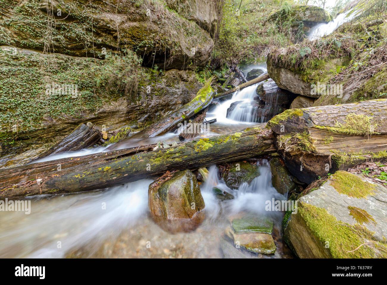 Photo de l'eau laiteuse dans les Himalaya - Waterfall en Inde Banque D'Images