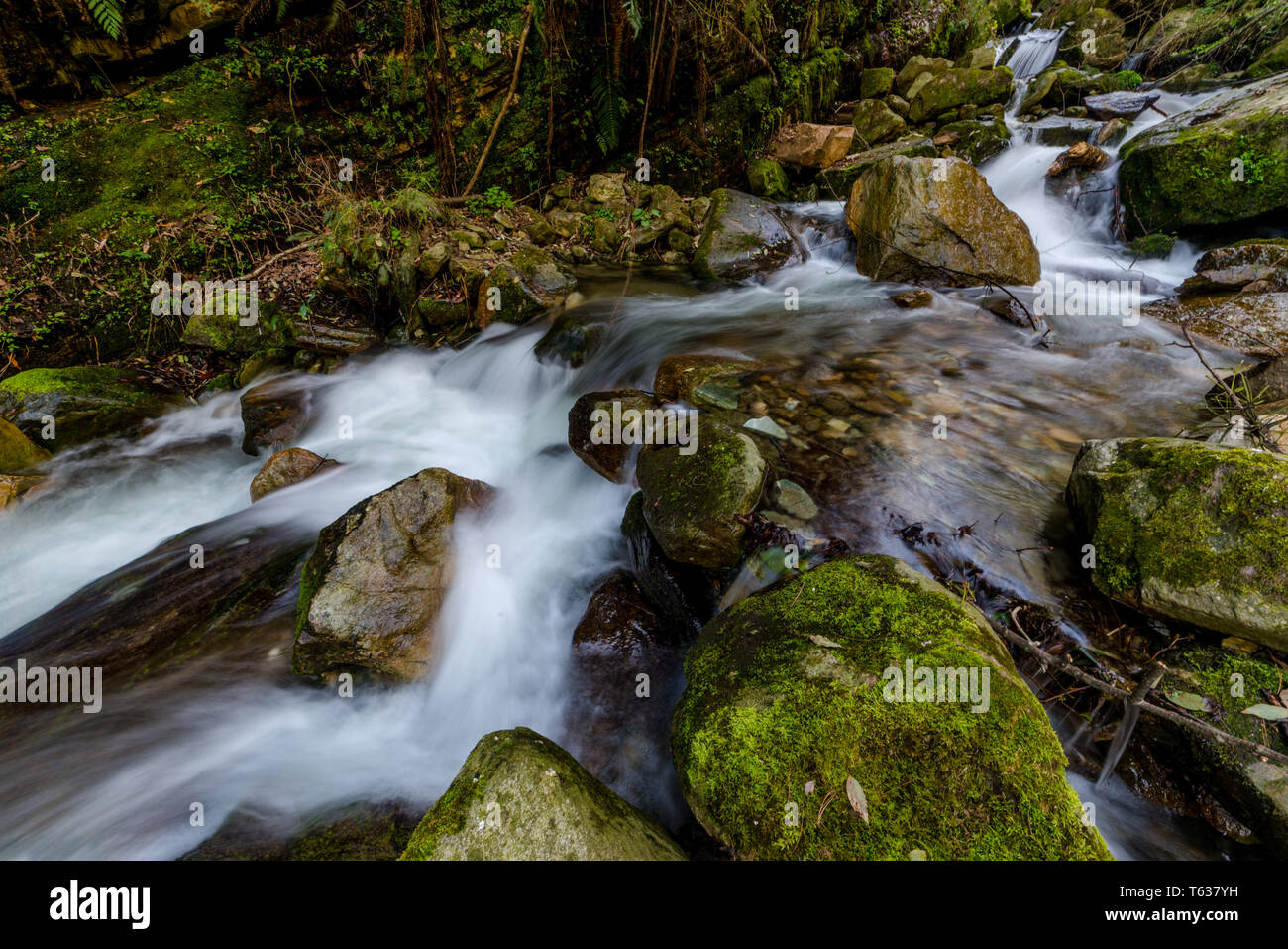 Photo de l'eau laiteuse dans les Himalaya - Waterfall en Inde Banque D'Images