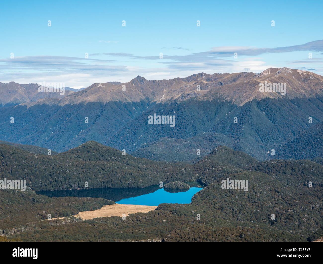 Island Lake, en forêt de hêtres, Grebe Valley, Parc National de Fiordland, Southland, Nouvelle-Zélande Banque D'Images