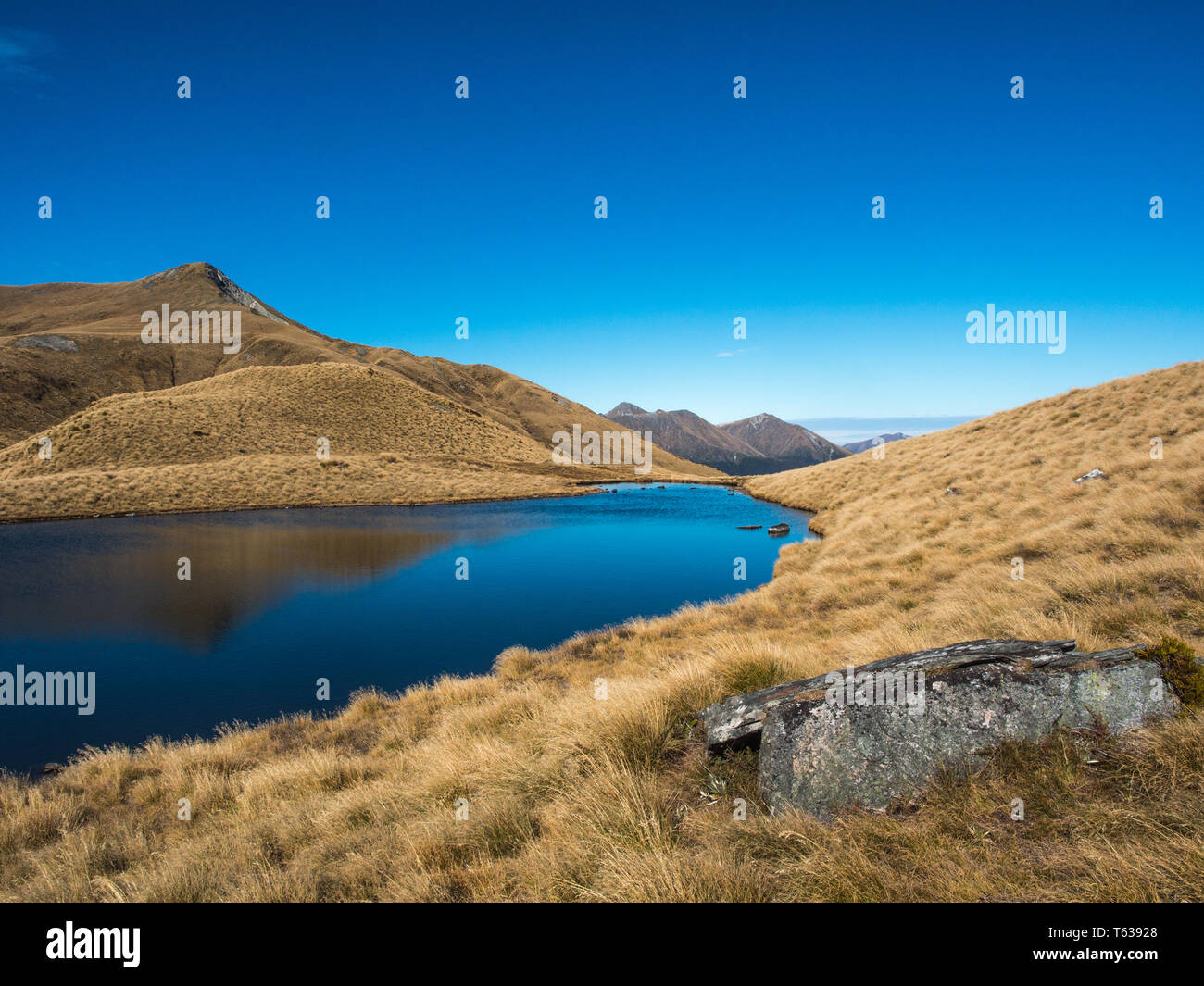 Alpine tarn, en pays de buttes, au-dessus de la limite forestière, vue sur les montagnes lointaines, Mt Burns Piste, Parc National de Fiordland, Southland, Nouvelle-Zélande Banque D'Images