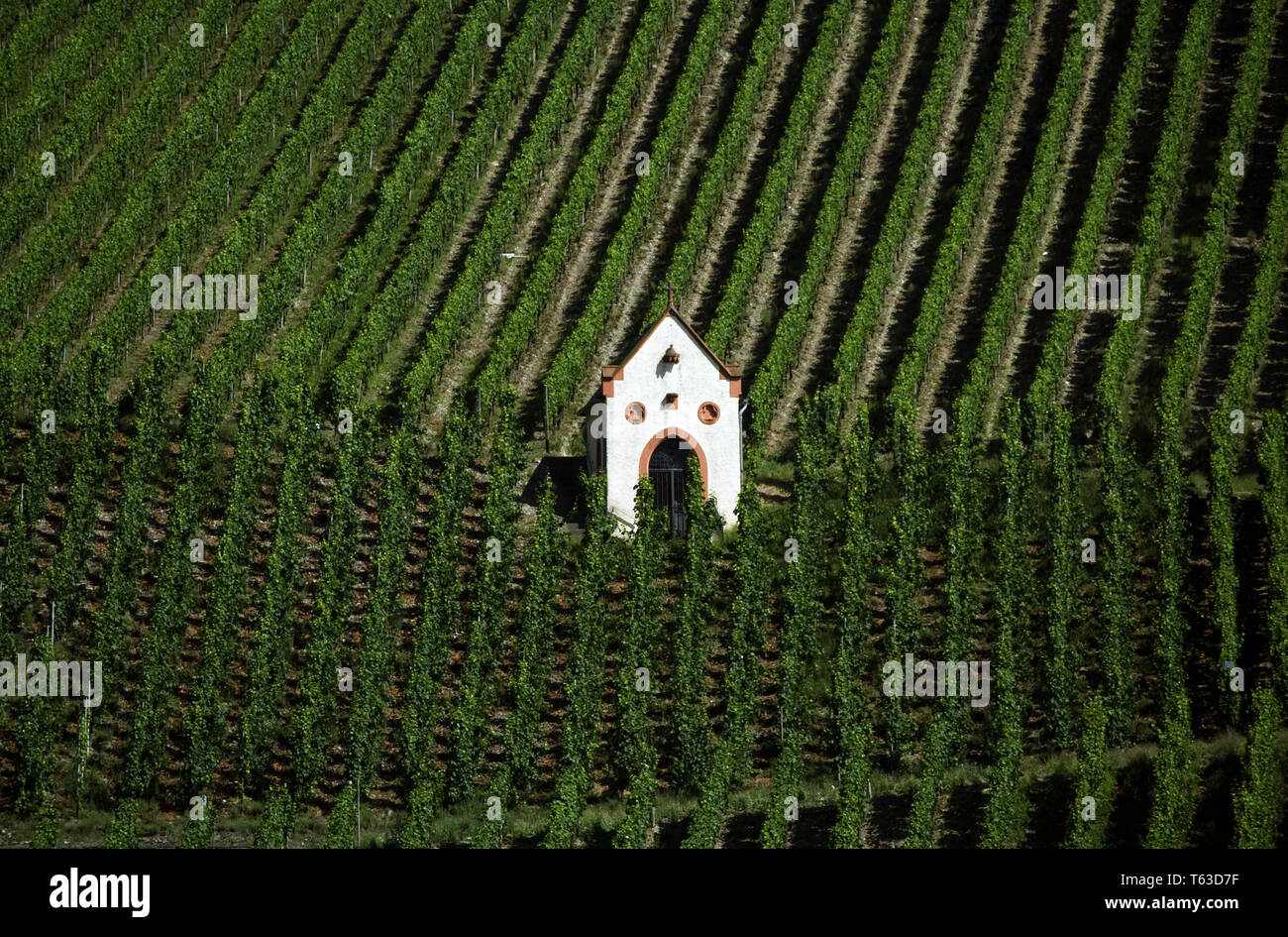 Chapelle de la vigne, Piesport, Moselle, Allemagne Banque D'Images