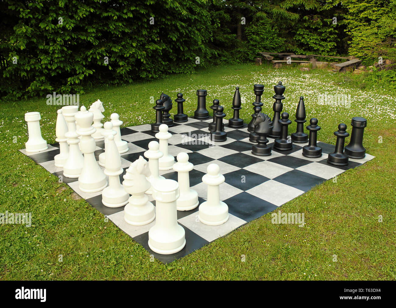 Grand jeu d'échecs en plein air en vert pelouse en journée ensoleillée Banque D'Images