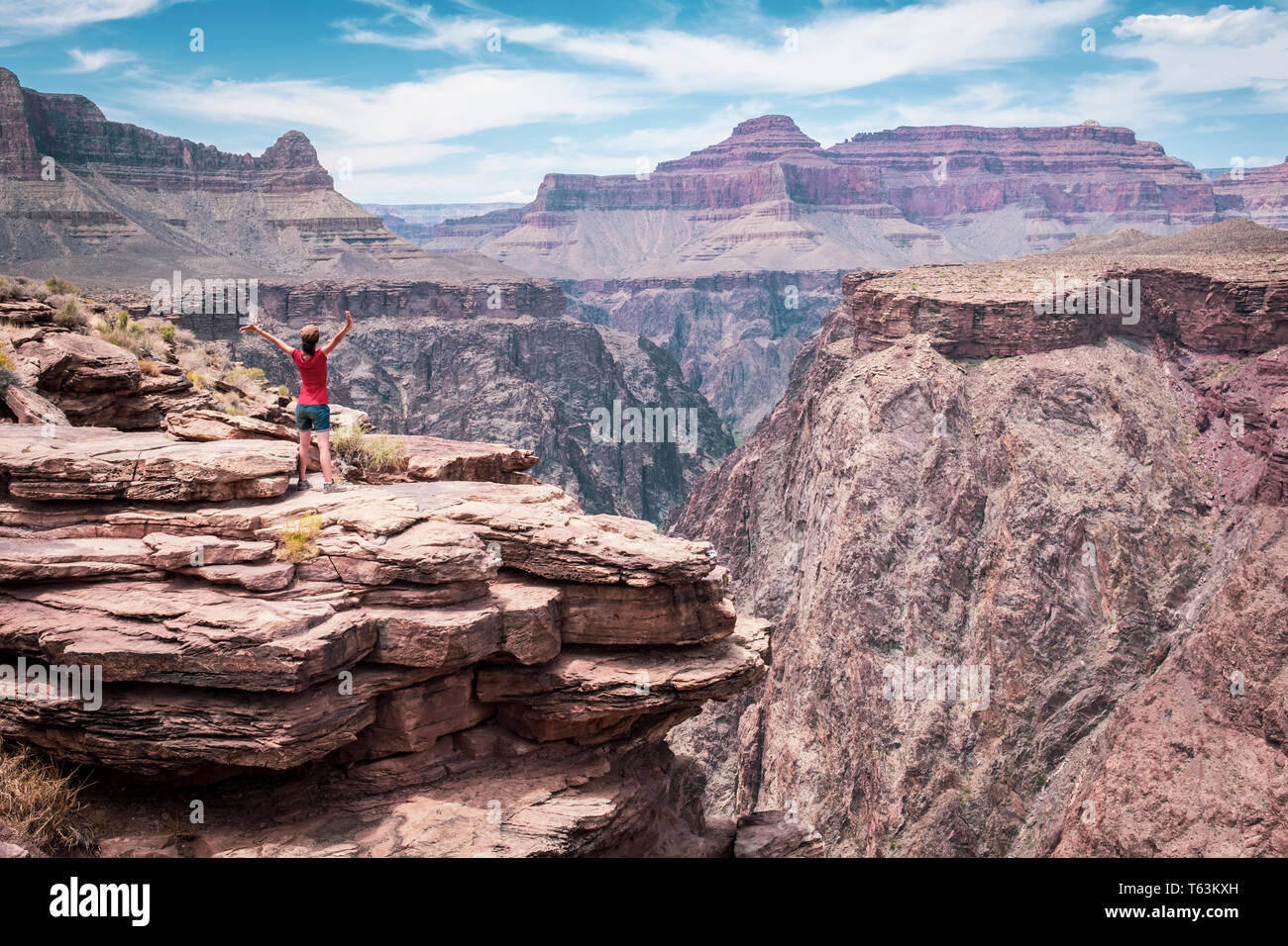 Visiteuse profitant d'une vue époustouflante sur la rivière Colorado Plateau de point à Grand Canyon National Park, Arizona, USA Banque D'Images