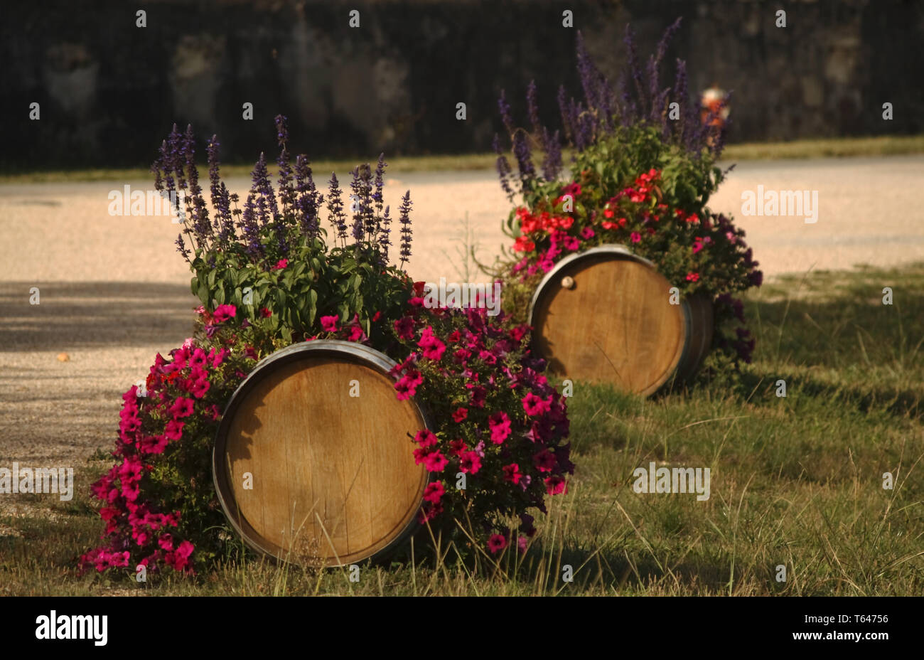 Des tonneaux de vin, Saint-avit-de-Cadourne, Gironde, F Banque D'Images