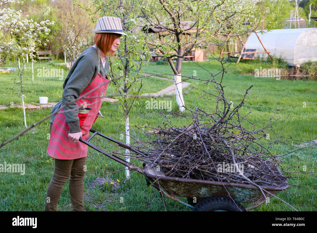 Femme travaillant dans le jardin au début du printemps Banque D'Images