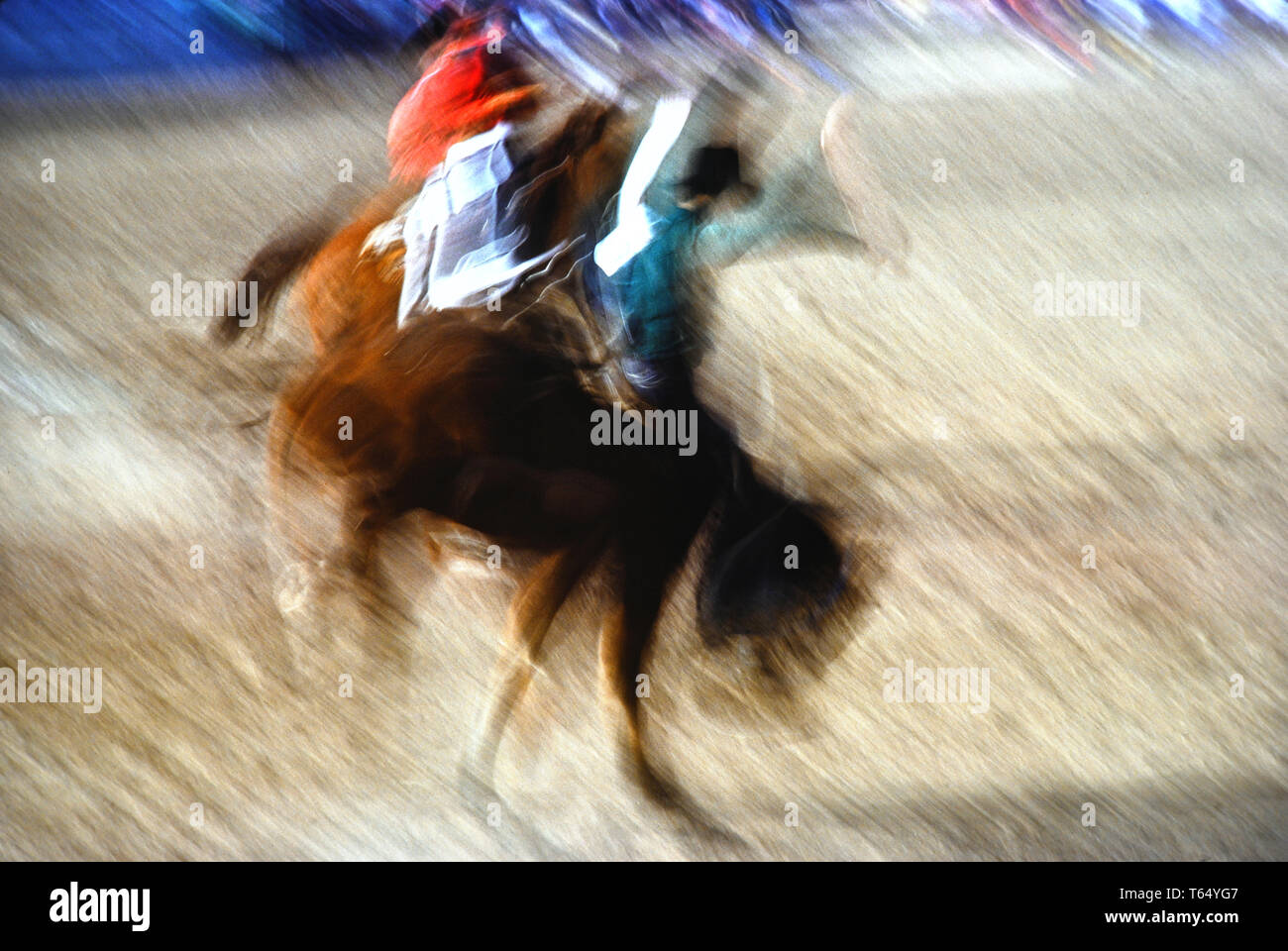 Rodeo en Arizona Banque D'Images
