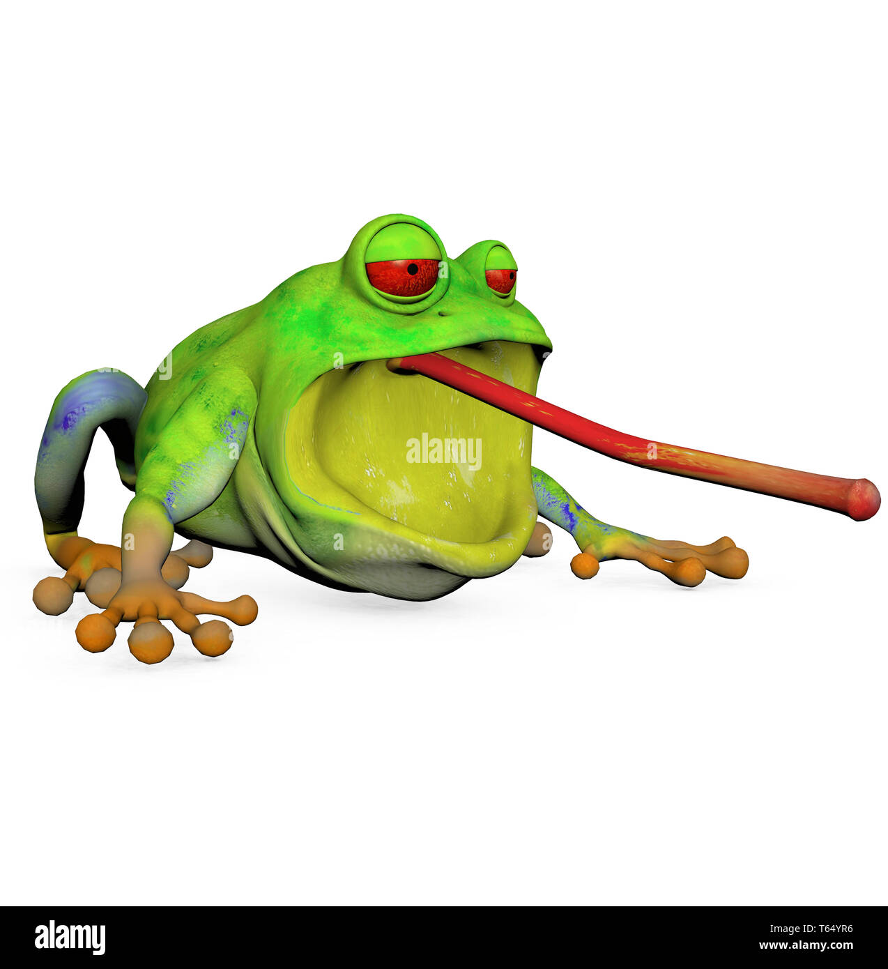 European rainette, Hyla arborea Banque D'Images