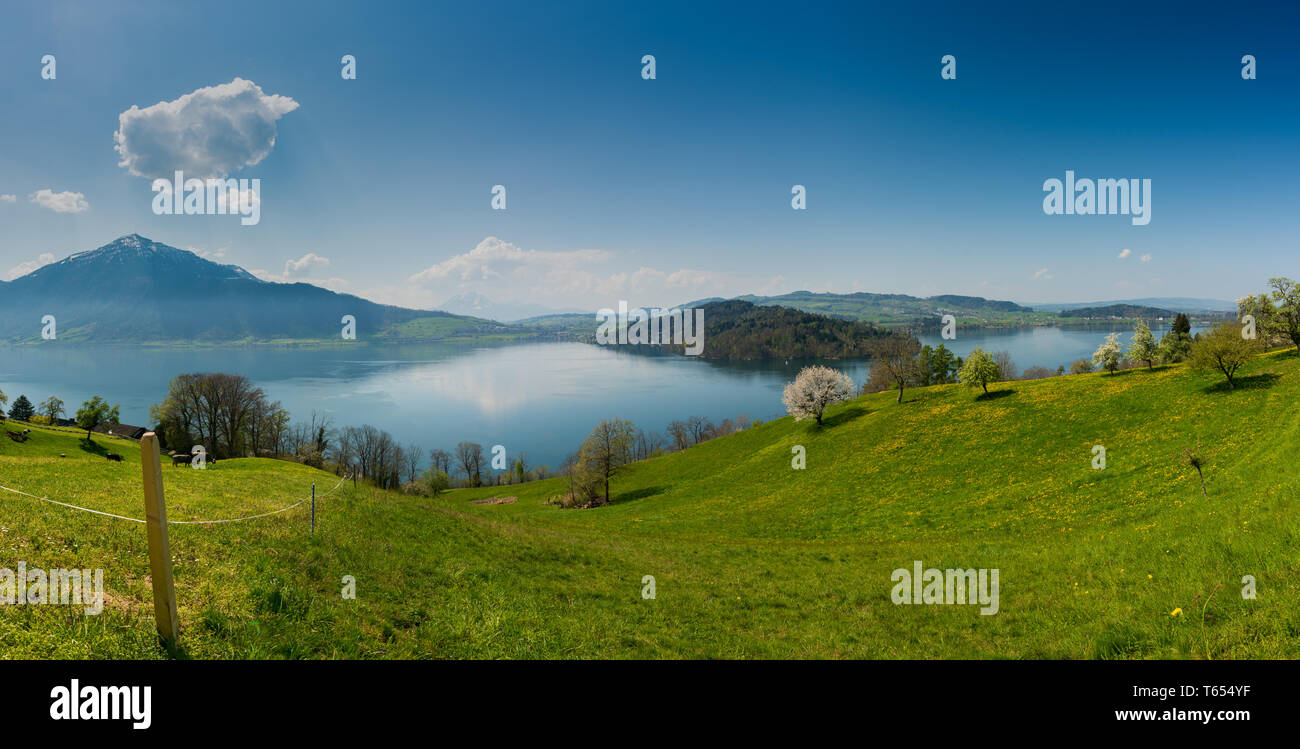 Beau panorama paysage avec des champs verts et des fleurs et des arbres en fleurs et les montagnes en arrière-plan, en Suisse centrale, sur le lac de Zoug Banque D'Images
