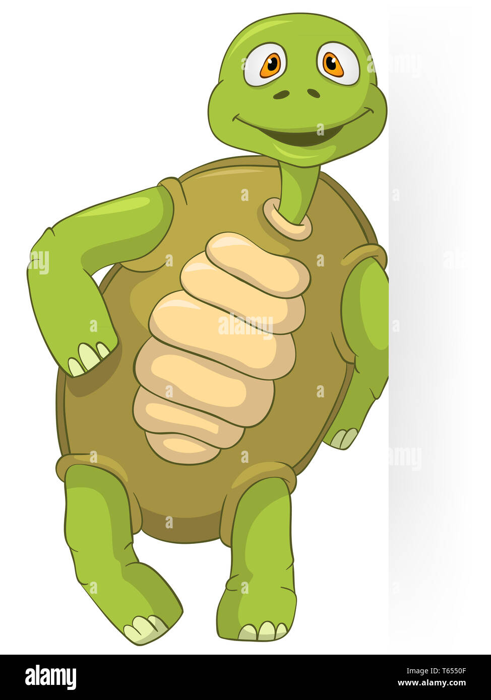 Tortue Drole Banque D Image Et Photos Alamy