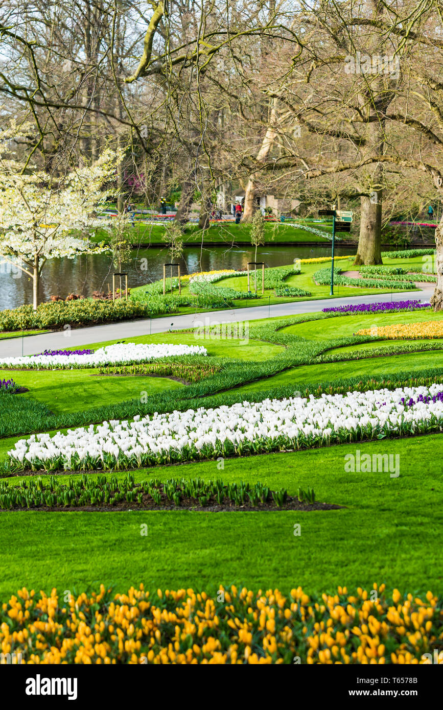 Jardin fleuri de fleurs Banque D'Images