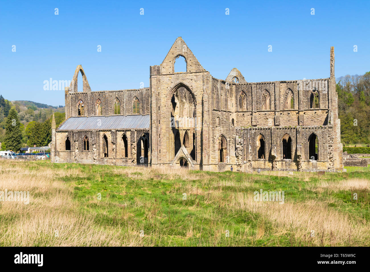 Abbaye de Tintern, Tintern, vallée de la Wye, Monmouthshire, Wales, UK, FR, DE L'Europe Banque D'Images
