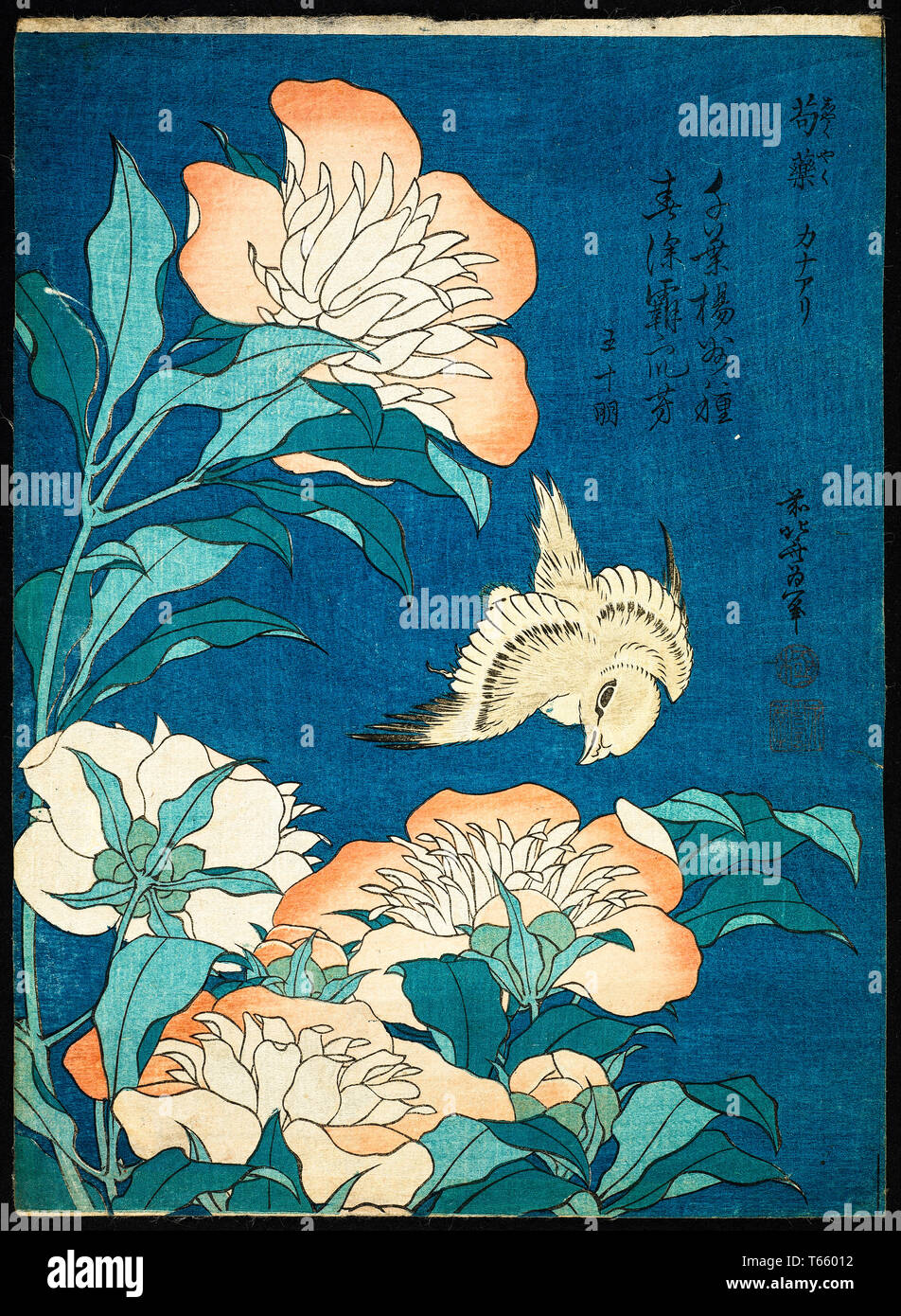 Katsushika Hokusai, de pivoines et d'Hôtellerie (Shakuyaku, kanaari), print, ch. 1834 Banque D'Images