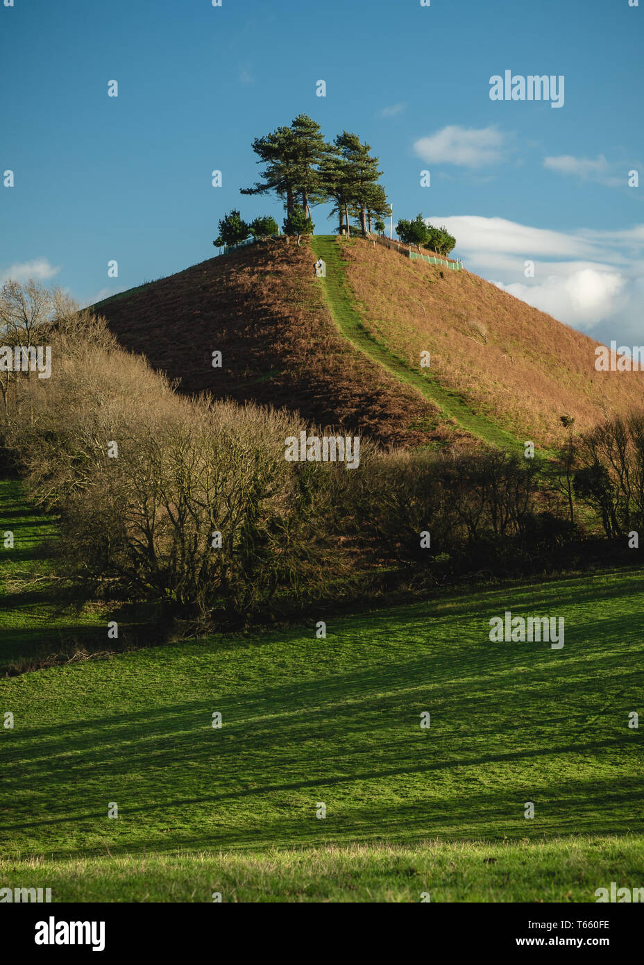 Colmers Hill, campagne du Dorset à pied Banque D'Images