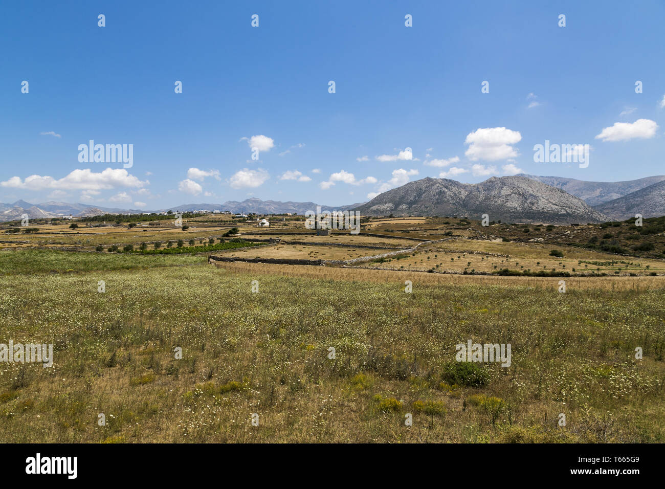 Paysage grec avec prairie, montagne et ciel bleu Banque D'Images