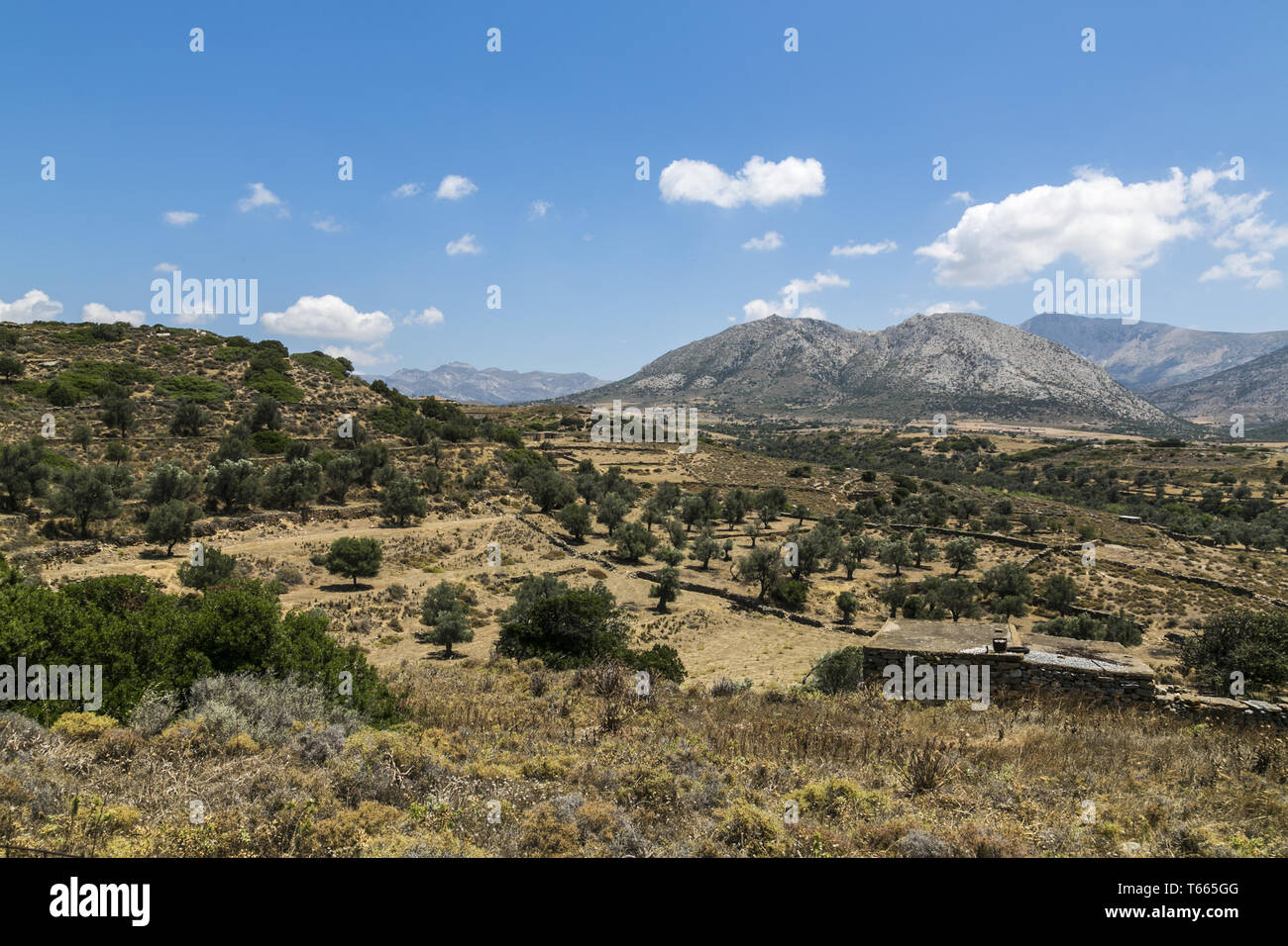 Paysage grec avec prairie, montagne et ciel bleu Banque D'Images