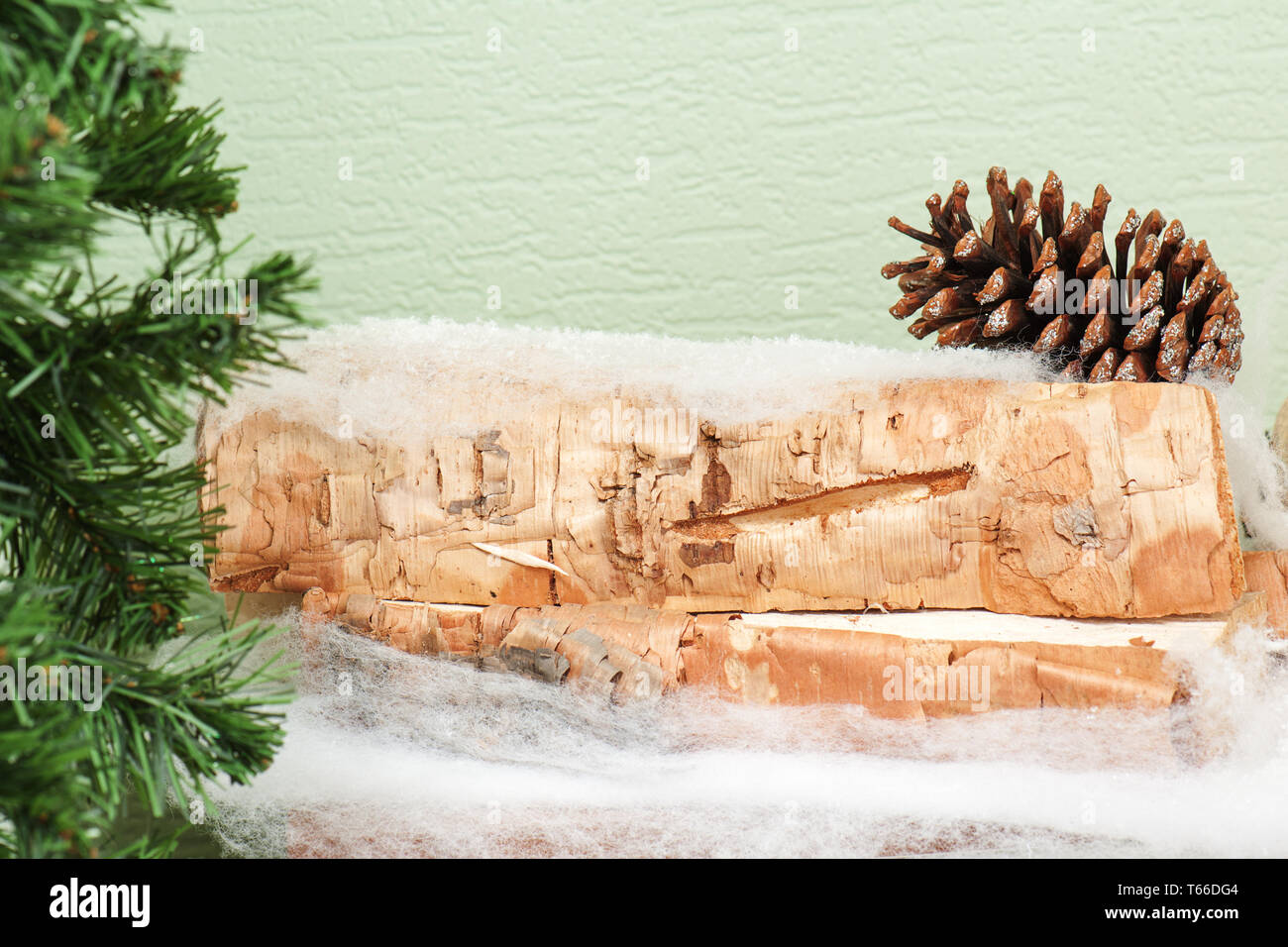 Composition abstraite à partir de branches de sapin et de bouleau l Banque D'Images