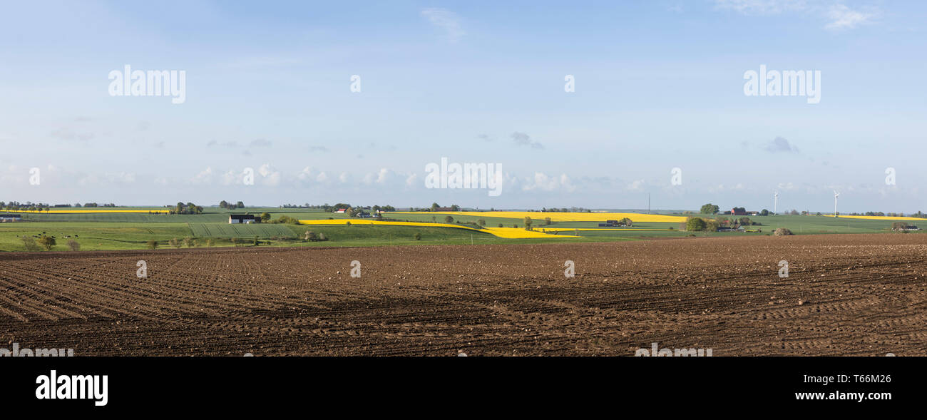 Panorama du paysage agricole agricole. Uppsala, Suède, Scandinavie. Banque D'Images