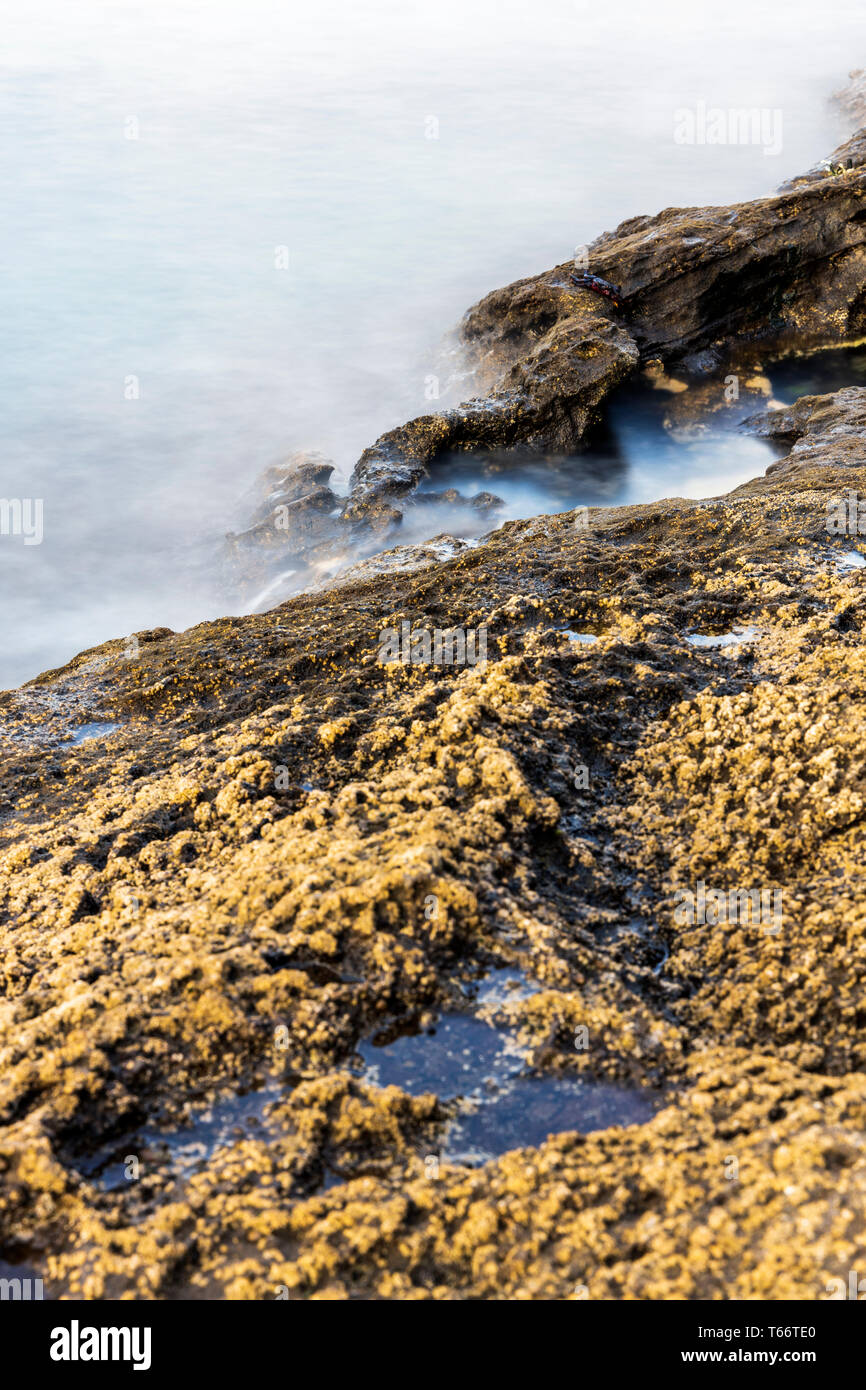 Une longue exposition de la mer aux côtés des roches couvertes de balanes chez Montana Amarilla, la montagne jaune, Tenerife, Canaries, Espagne Banque D'Images