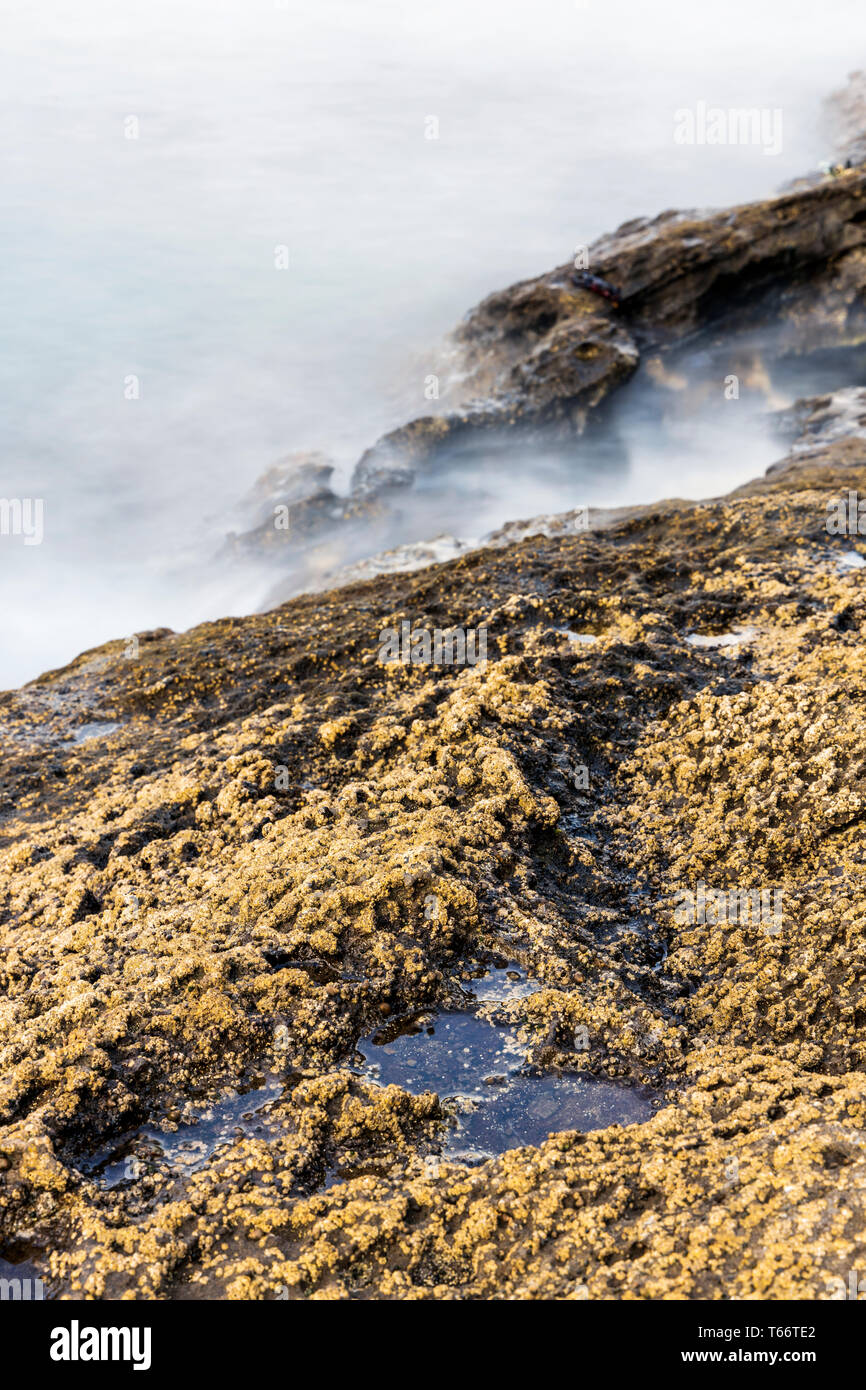 Une longue exposition de la mer aux côtés des roches couvertes de balanes chez Montana Amarilla, la montagne jaune, Tenerife, Canaries, Espagne Banque D'Images