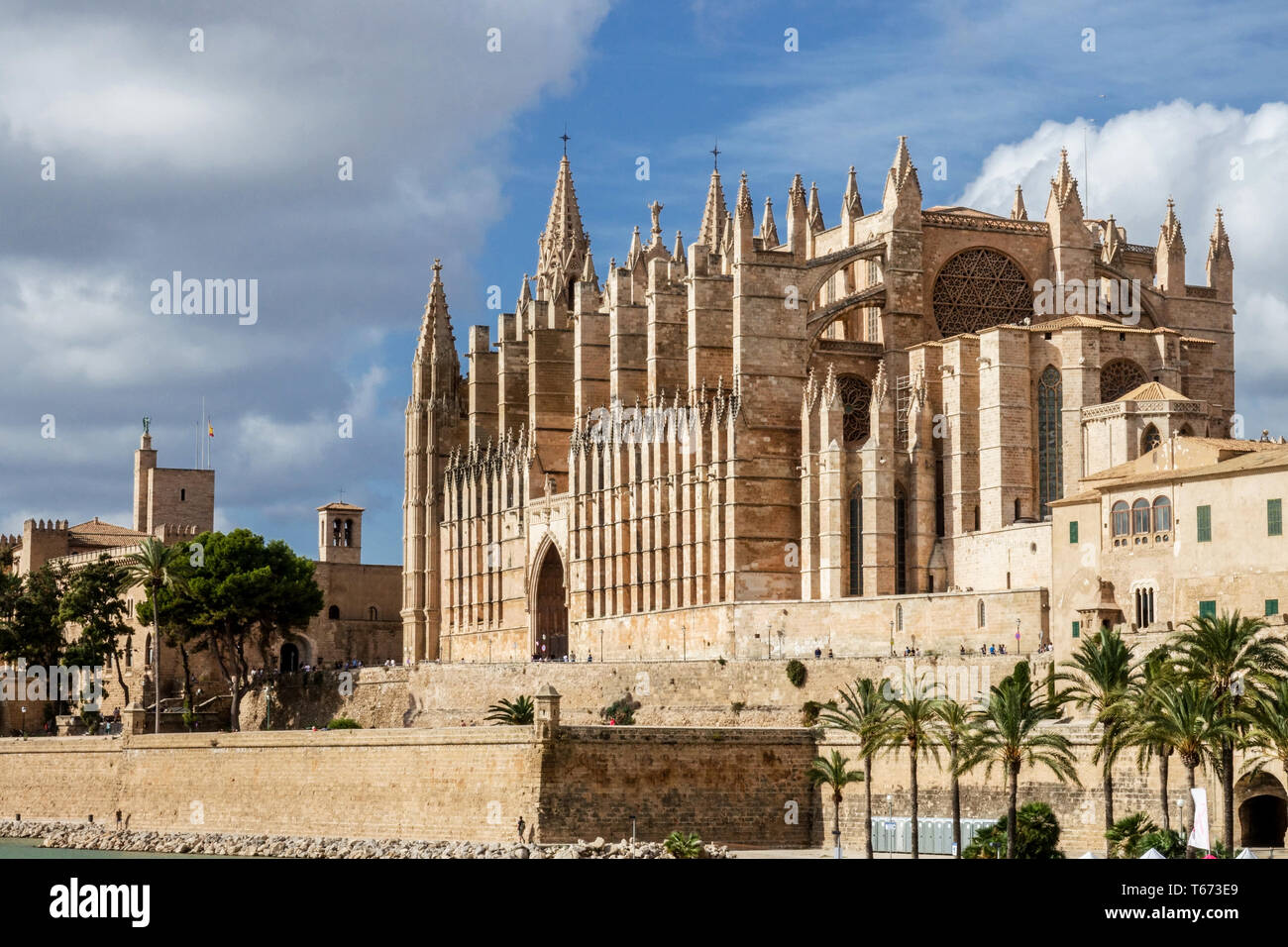 Vue générale de la cathédrale de Palma de Majorque la Seu, Espagne Banque D'Images