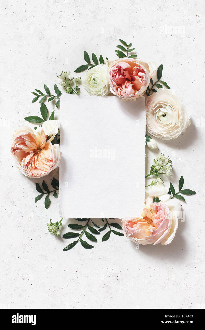 Mariage, anniversaire féminin maquette des lieux. Carte de vœux papier vierge. Floral frame de blush pink roses anglaises, Ranunculus fleurs et feuilles de lentisque Banque D'Images