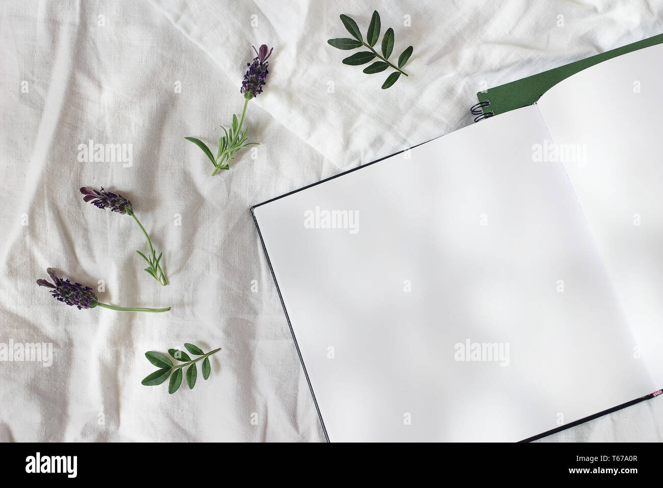 Style de composition florale de l'été. Ouvrir le journal vierge, carnet de croquis immersive scène avec des fleurs de lavande et de feuilles vertes. Lit dans la journée ensoleillée. Linge de maison blanc Banque D'Images