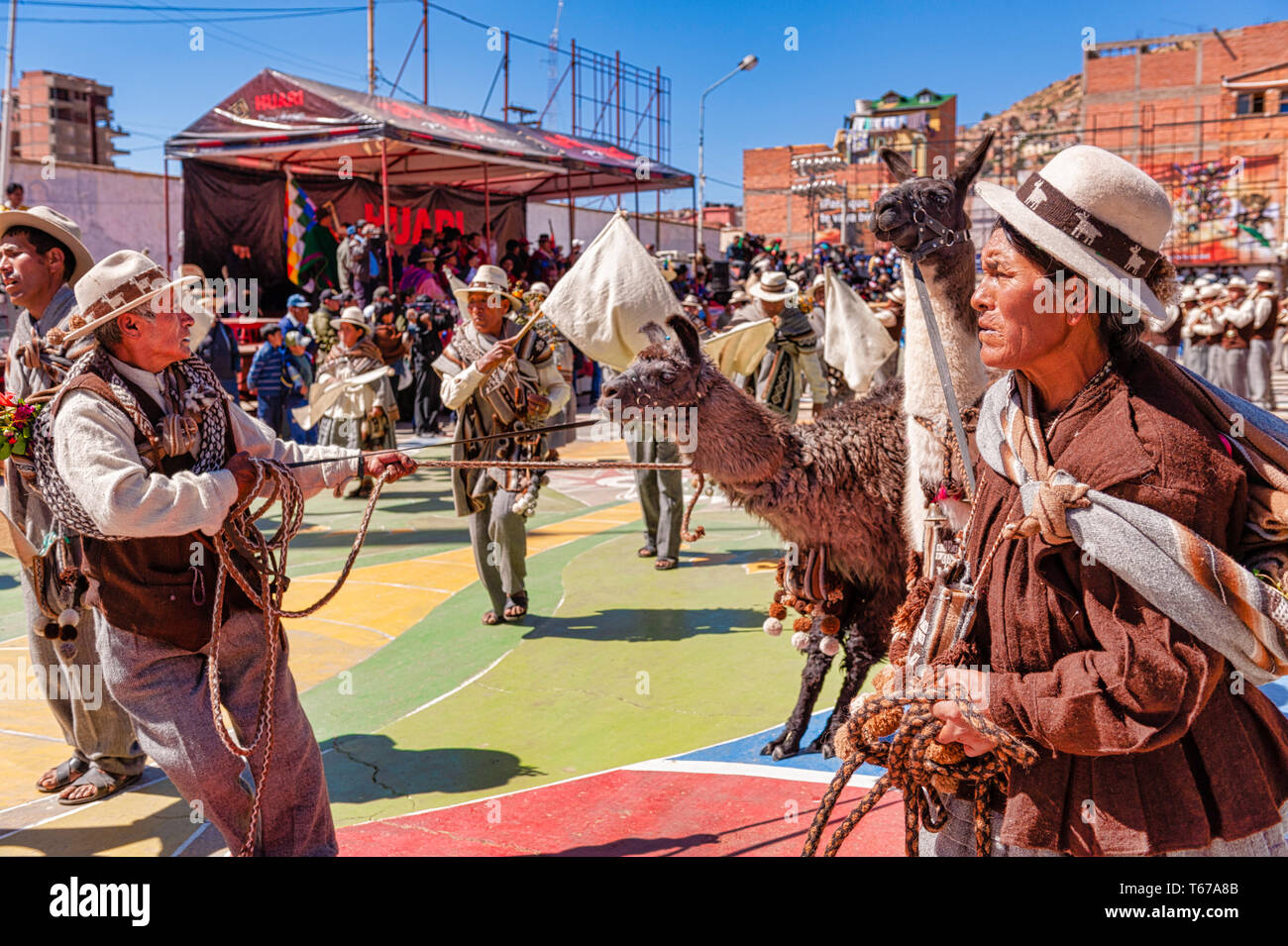 Oruro, Bolivie, Mars, 2011 : femme et de lamas à Anata Andina ou carnaval andin. Festival hispanique pré liés au cycle de production agricole Banque D'Images