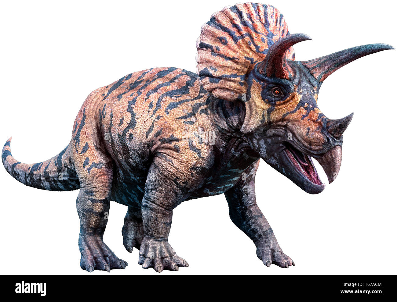 Triceratops 3D illustration Banque D'Images