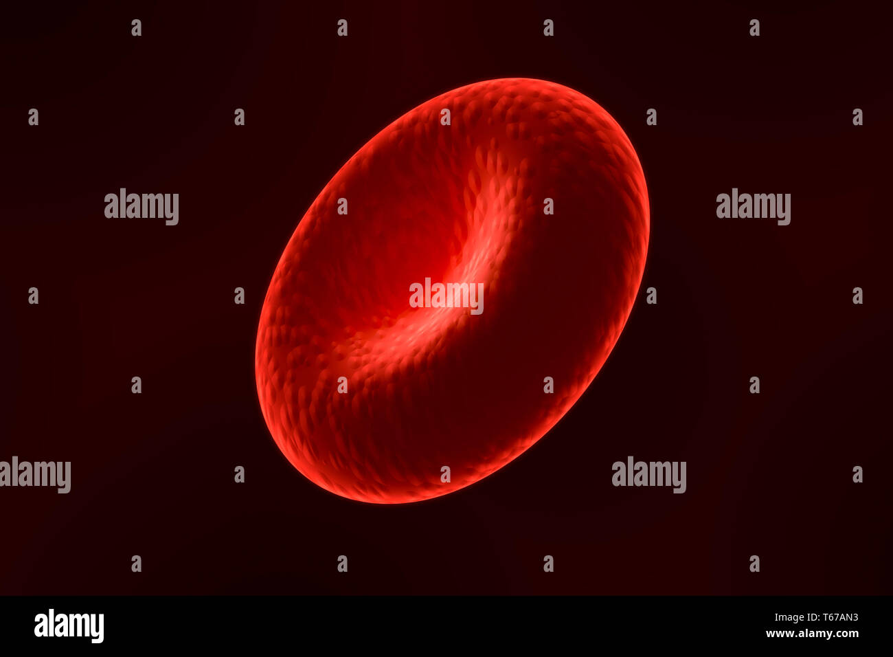 Close-up d'un seul globule rouge ou corpuscule. Rendu 3d illustration. Banque D'Images