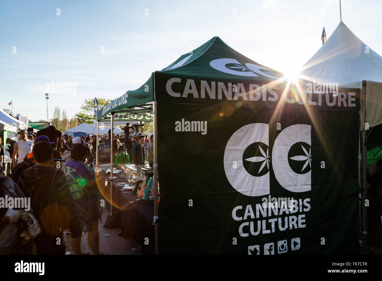 VANCOUVER, BC, CANADA - 20 avr 2019 : La culture du cannabis à l'installation de tente 420 festival à Vancouver. Banque D'Images