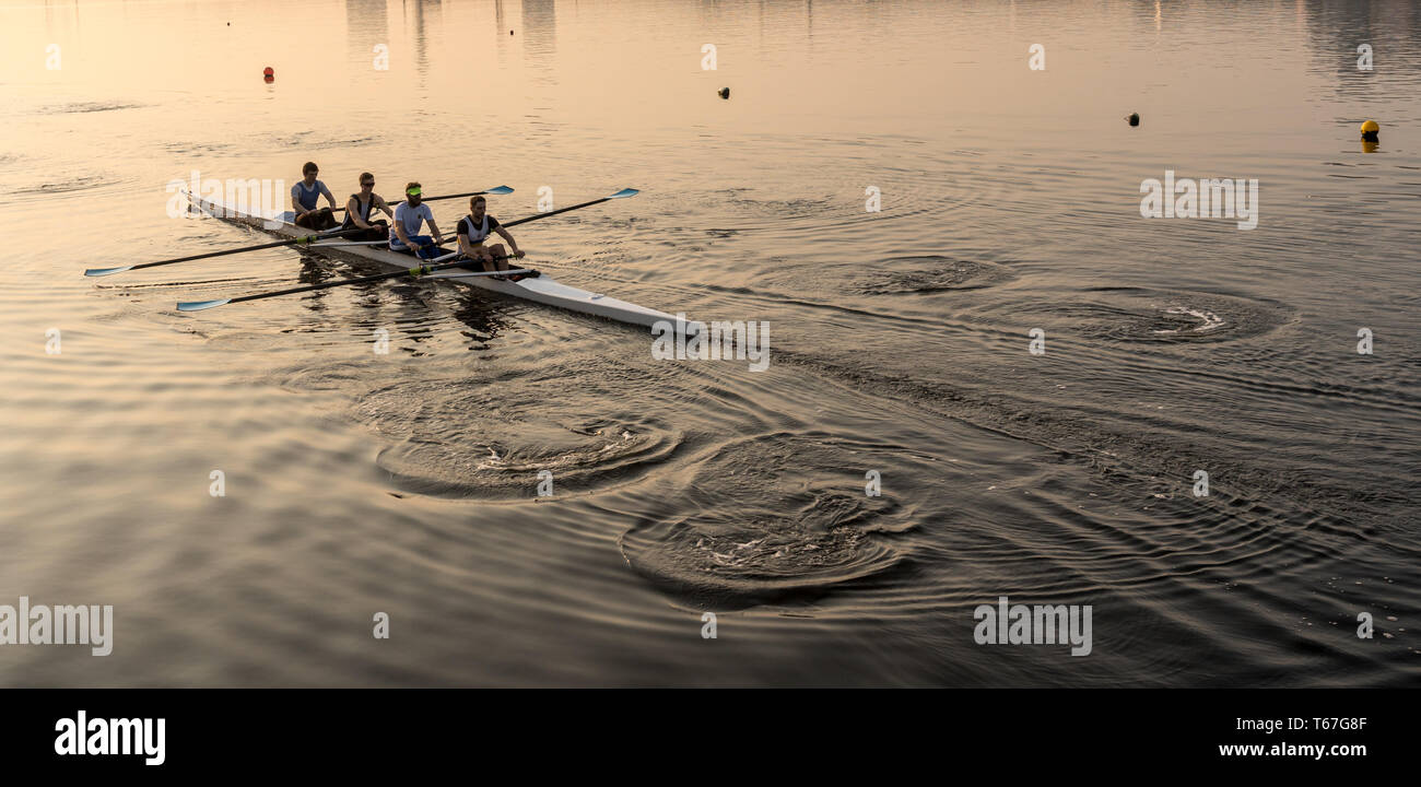 Équipe de quatre rameurs en canot de course pratique Banque D'Images