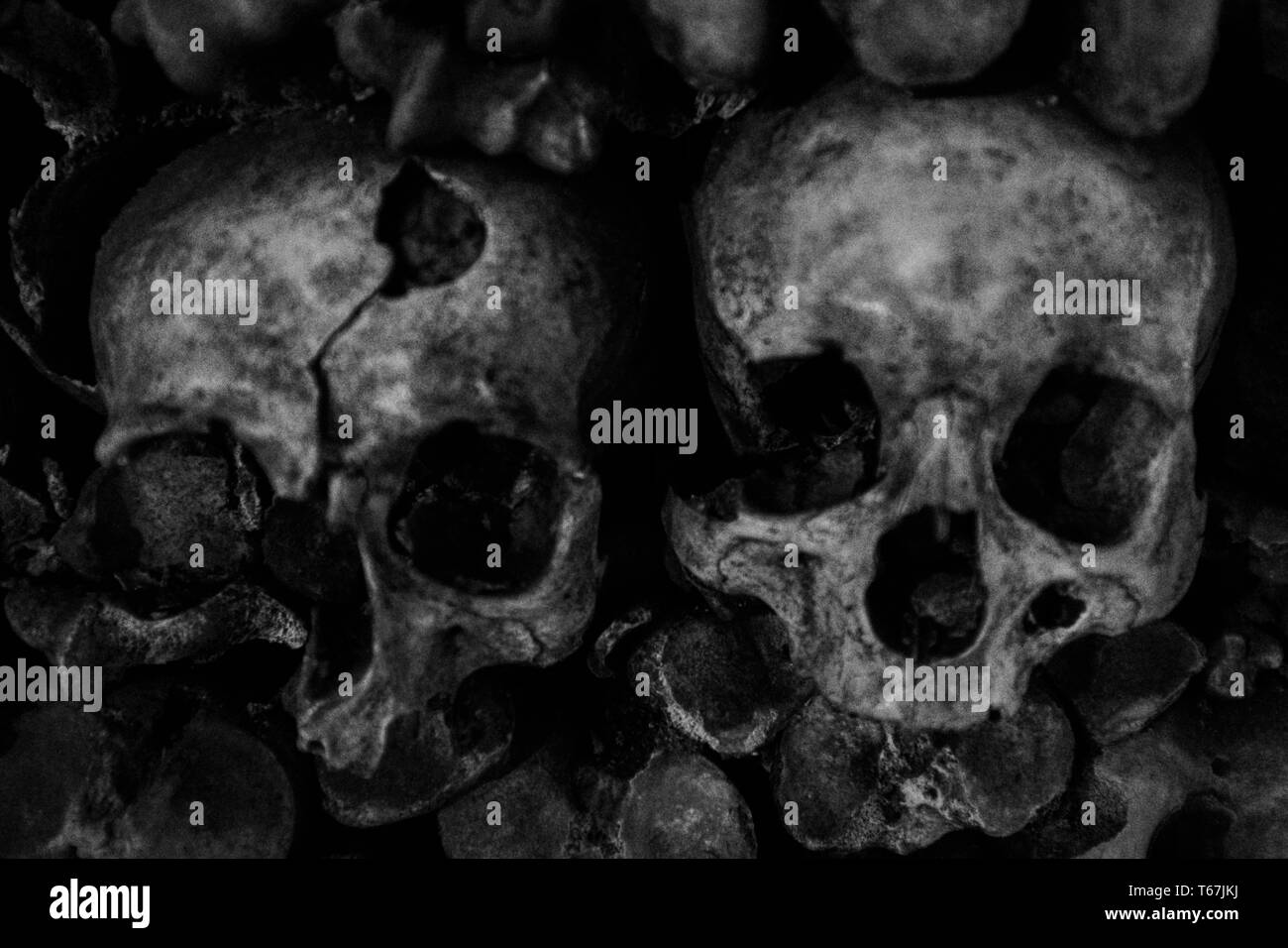 Gros plan de crânes humains empilés les uns sur les autres Banque D'Images
