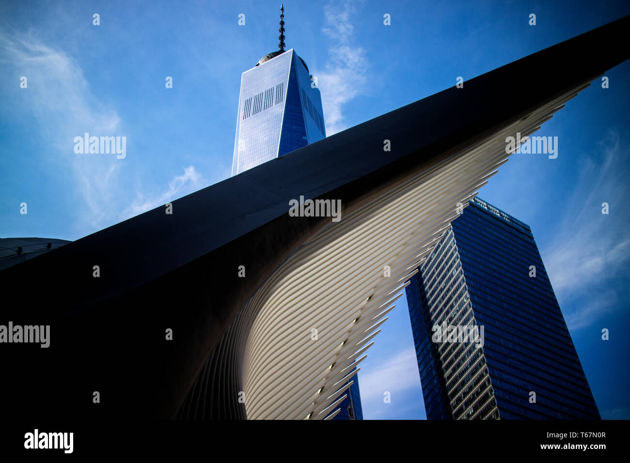 L'Oculus, conçu par l'architecte espagnol Santiago Calatrava au Mémorial National du 11 septembre la Plaza dans le centre-ville de New York. L'Oculus couvre l'atrium et d'un centre commercial qui se branche sur le chemin du métro et train ainsi que le Musée du 11 septembre. Banque D'Images